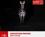 Expo nuit fauve