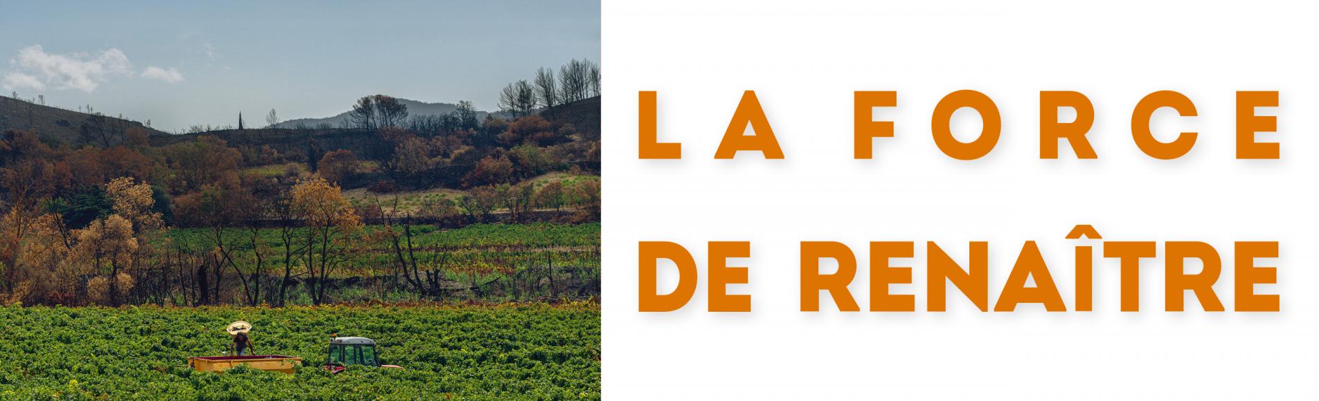 visuel de la campagne La force de renaitre du Département de l'Aude, vignes brulées par l'incendie, viticulteur qui travaille sa terre.