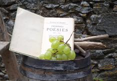 livre avec une grappe de raisin