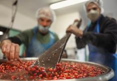 COOPERATIVE JARDINS DE LA HAUTE VALLEE