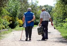seniors de dos marchant dans une allée bordée d'arbres