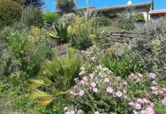 1er prix catégorie jardin Aude Fleurie 2022 pour Yvon Blaize