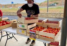 l'aire de vente des producteurs audois de beragne à trèbes