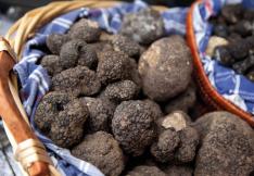truffes noires dans un panier