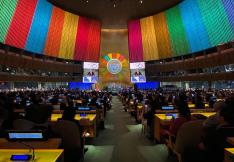 assemblée générale de l'ONU