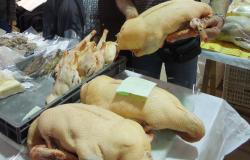 FOIRE AU GRAS
