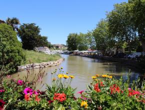 vue sur un cours d'eau