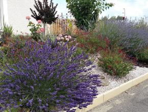 jardin concours aude fleurie