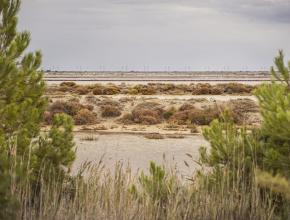 SENTIER DU SALIN AU ROUET A LA PALME