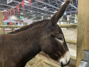 L'Aude au salon de l'agriculture