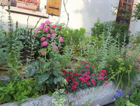 résidence concours aude fleurie