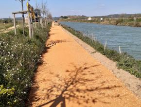 Cheminement vers l'écluse d'Argens