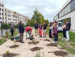 Opération de plantation au collège des Fontanilles de Castelnaudary