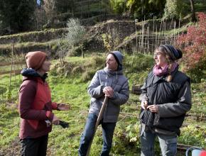 JARDINS DE L'AIGUEBELLE A SAISSAC
