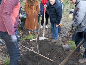 JARDINS DE L'AIGUEBELLE A SAISSAC