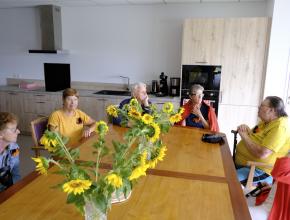 Financement d'habitats inclusifs comme à Salles-sur-l'Hers (septembre)