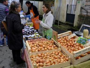 oignon doux à la foire d'espezel dans l'aude