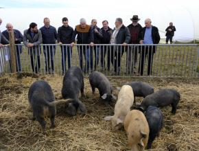 foire d'espezel dans l'aude