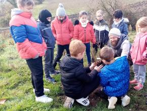 plantation d'arbres fruitiers sur la voie verte Bram-Lavelanet