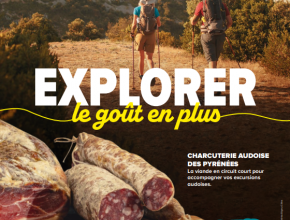 visuel le gout en plus campagne été