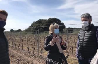 La présidente Hélène Sandragné à la rencontre des viticulteurs et agriculteurs sinistrés par l'épisode de gel.