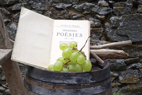 livre avec une grappe de raisin