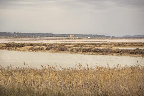 SENTIER DU SALIN AU ROUET A LA PALME