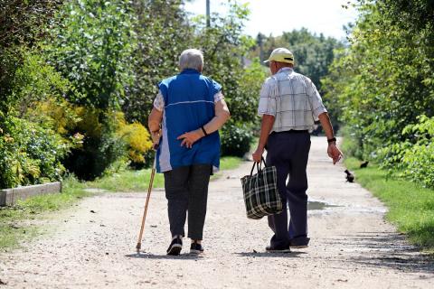 seniors de dos marchant dans une allée bordée d'arbres