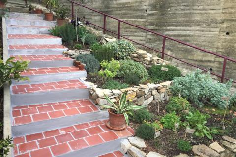 CONCOURS AUDE FLEURIE 2020 - JEAN GALANT