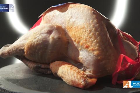 PINTADE PAYS CATHARE OBJECTIFS TOP CHEF M6 AUDE