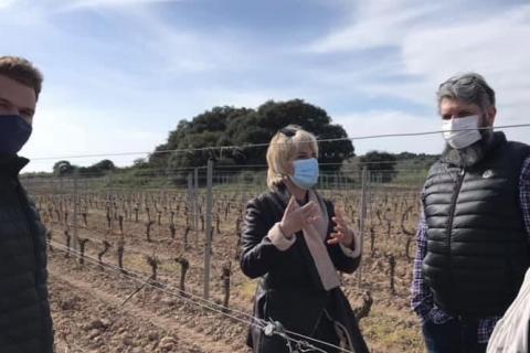 La présidente Hélène Sandragné à la rencontre des viticulteurs et agriculteurs sinistrés par l'épisode de gel.