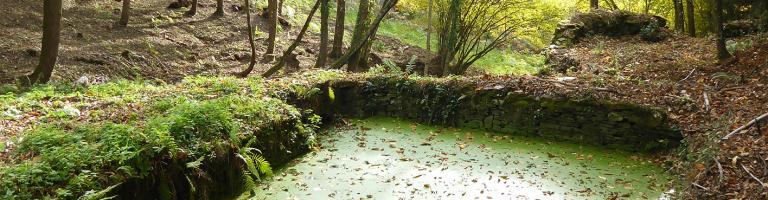 LE PESQUIE MONTAGNE NOIRE