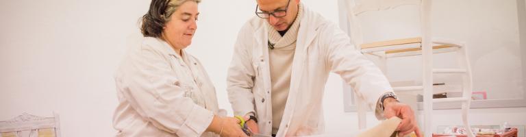 ATELIER INSERTION PROFESSIONNELLE