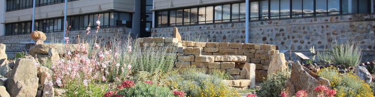 Carrière des plantes implantée devant l'hôtel du Département de l'Aude