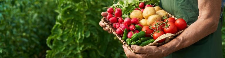 AGRICULTEUR TENANT DANS SES BRAS UN PANIER DE FRUITS ET LEGUMES