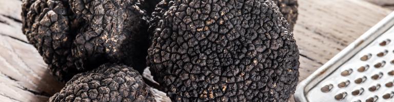 Truffes noires de la marque Pays Cathare