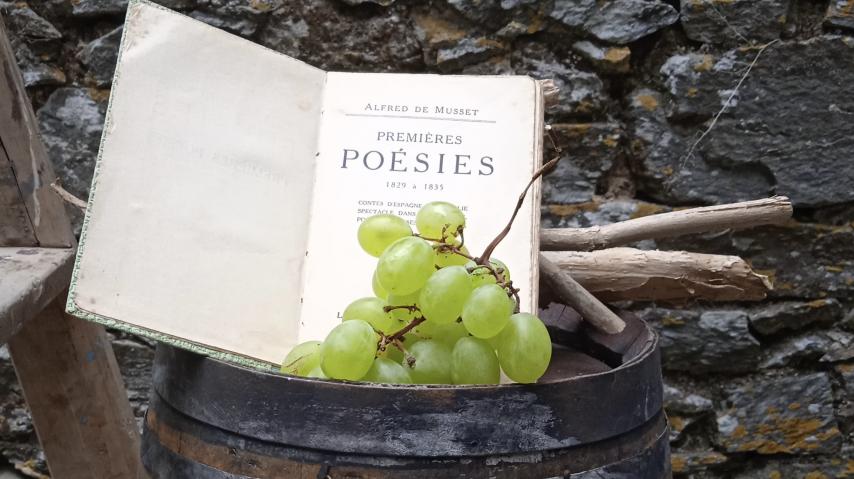 livre avec une grappe de raisin