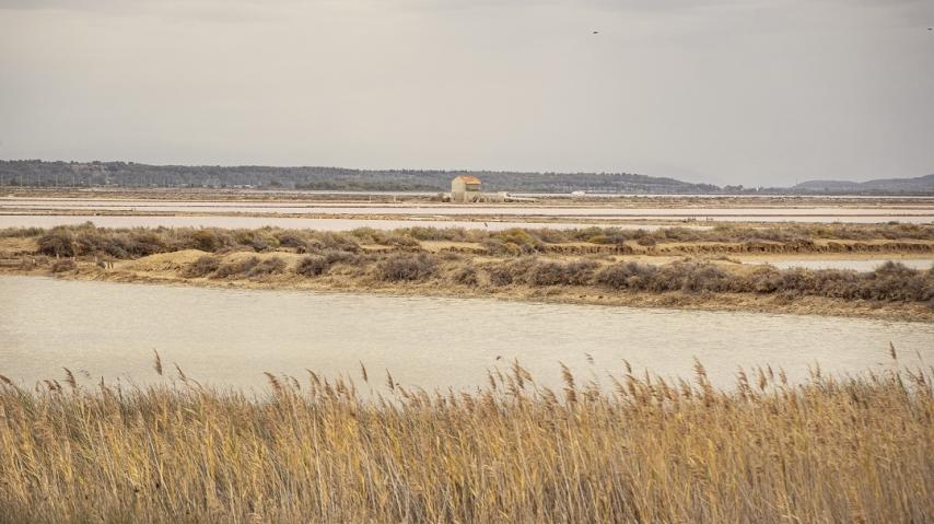 SENTIER DU SALIN AU ROUET A LA PALME