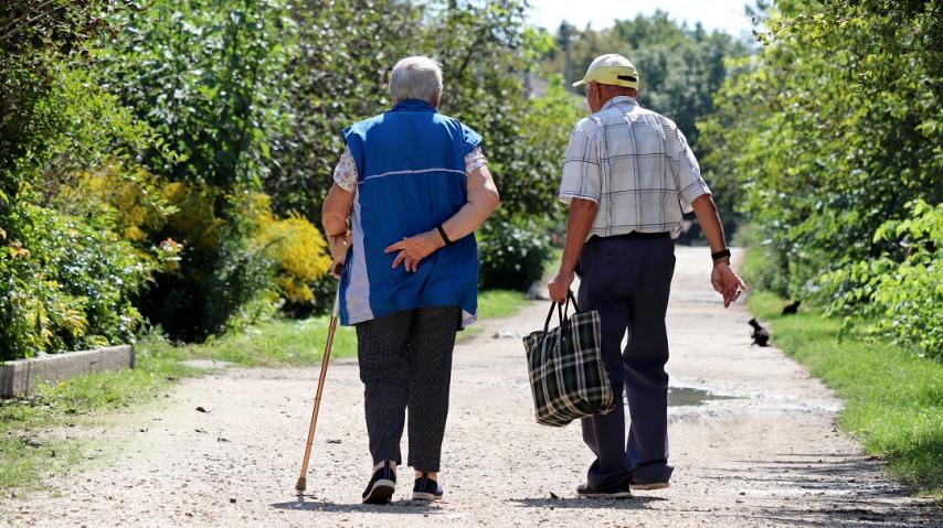 seniors de dos marchant dans une allée bordée d'arbres