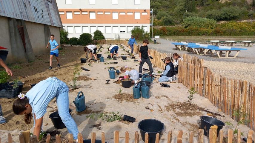 Opération de plantation au collège Delteil de Limoux