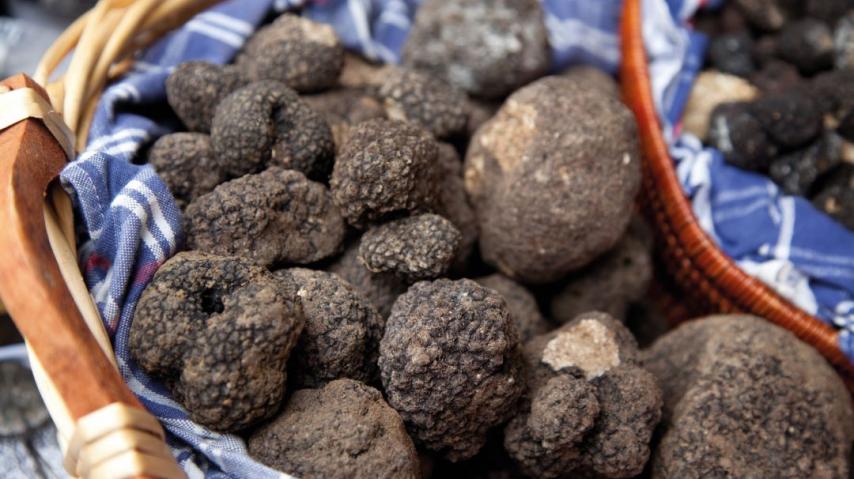 truffes noires dans un panier