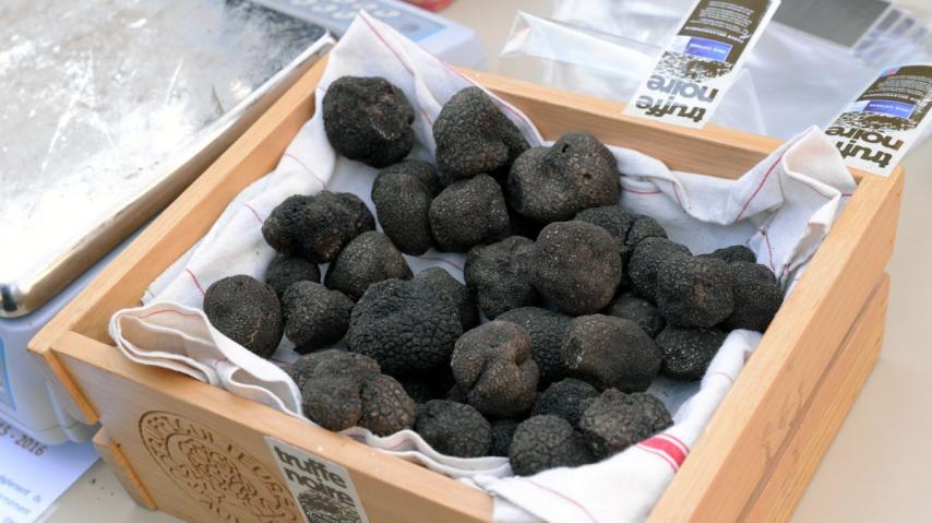 Association des trufficulteurs de l'Aude