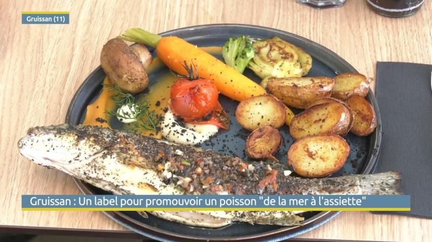 YouTube Video (819DhP3P48M)