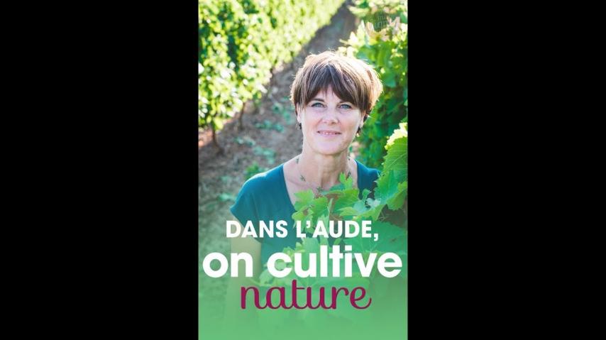 YouTube Video (llKiWXpwfYI)