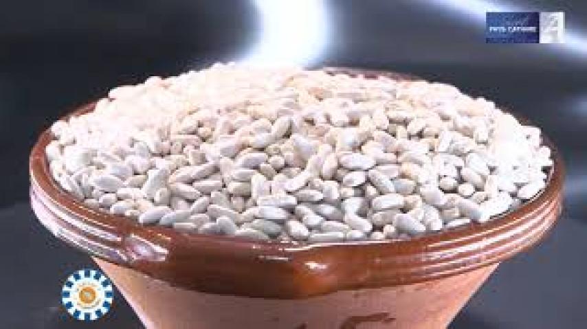 YouTube Video (zsI4toc59Qg)