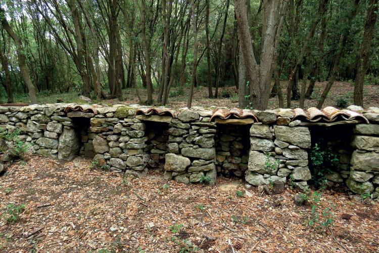 Mur à abeilles Enricocangini